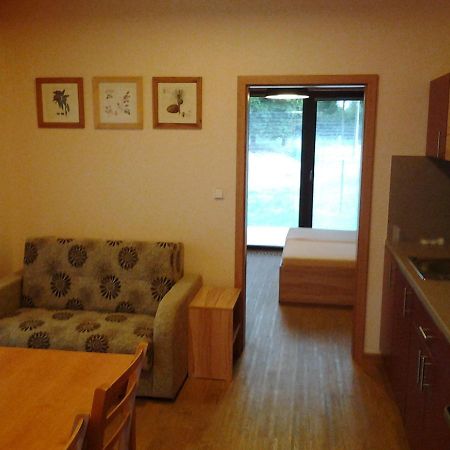 Ranc Orlice Villa Třebechovice pod Orebem Dış mekan fotoğraf