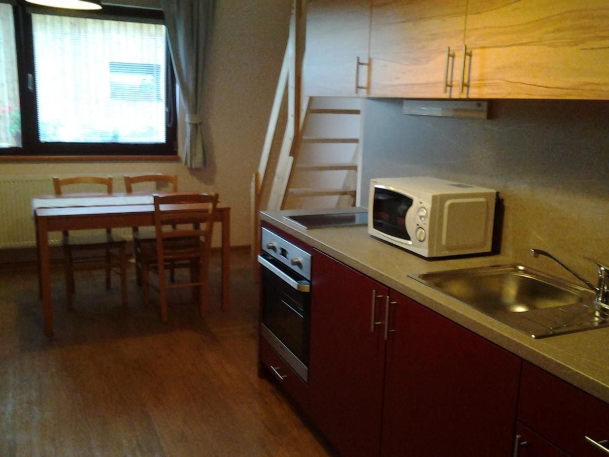 Ranc Orlice Villa Třebechovice pod Orebem Dış mekan fotoğraf