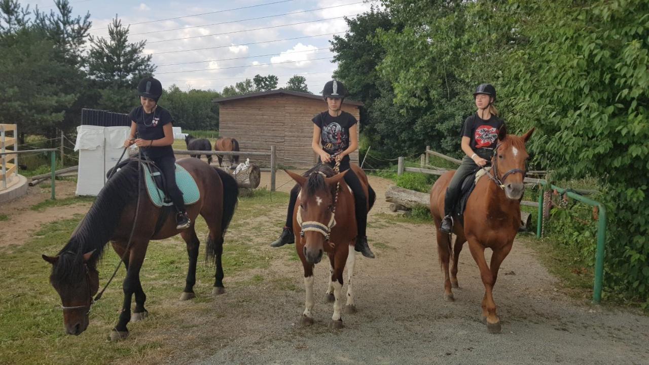 Ranc Orlice Villa Třebechovice pod Orebem Dış mekan fotoğraf