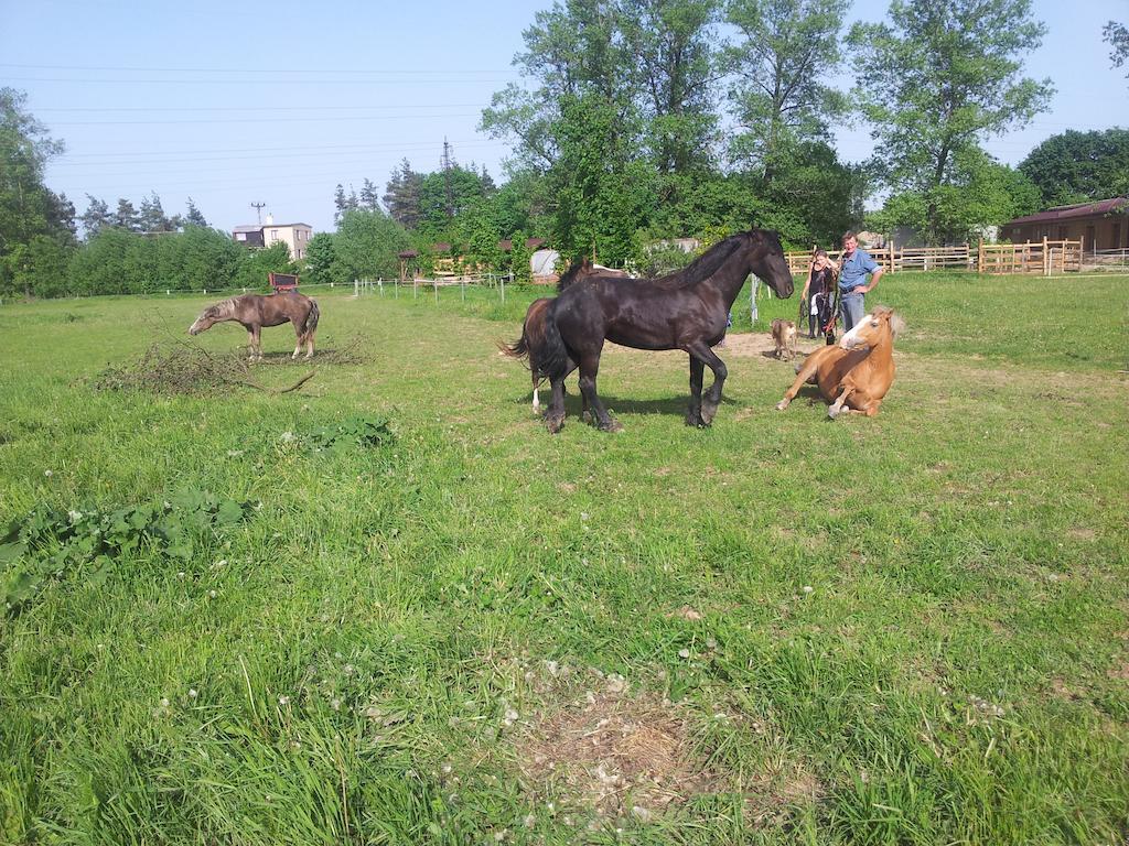 Ranc Orlice Villa Třebechovice pod Orebem Dış mekan fotoğraf
